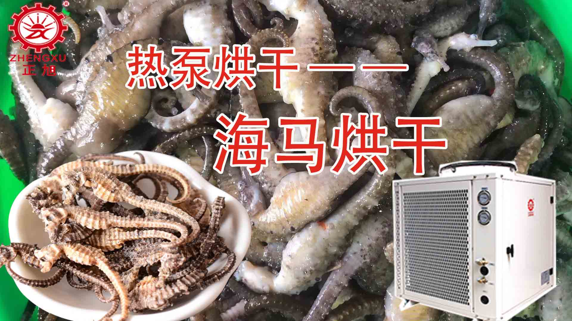 海馬熱泵烘干方法詳解（含研粉、清洗、宰殺、烘干時間）